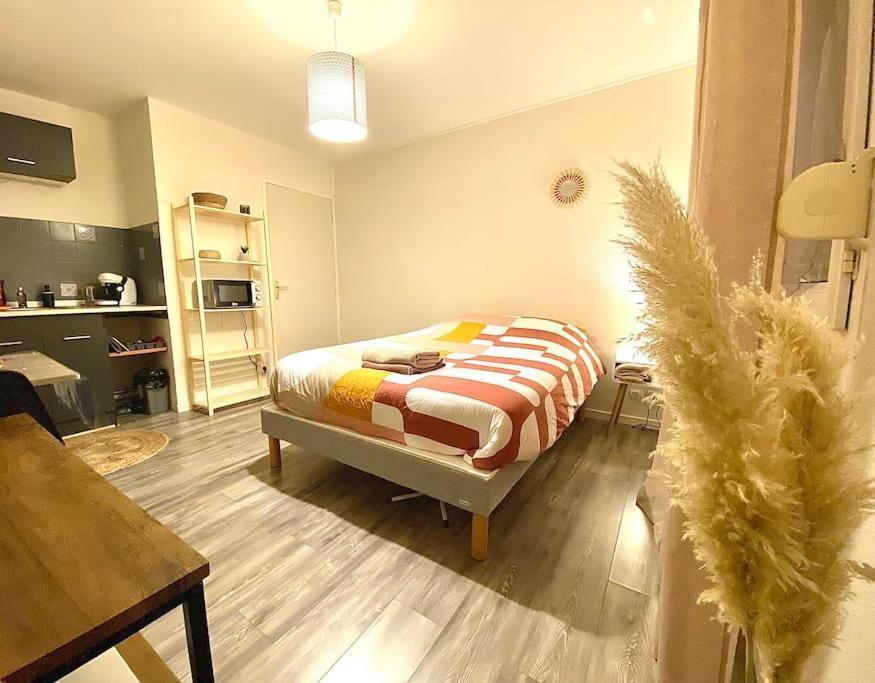 Au Calme Confort & Proche Centre Apartamento Le Mans Exterior foto
